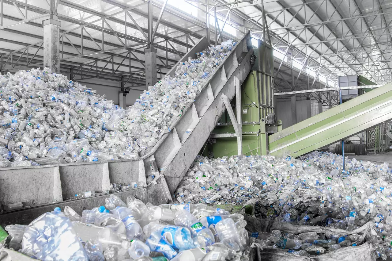 Plastic bottles being collected for recycling