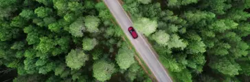 Aerial view of green forest